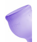 Набор менструальных чаш Satisfyer Feel secure Menstrual Cup фиолетовый 2 шт J1766-4