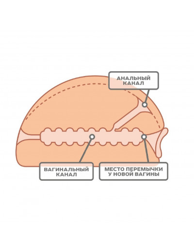 Мастурбатор вагина и анус биоклон 650001